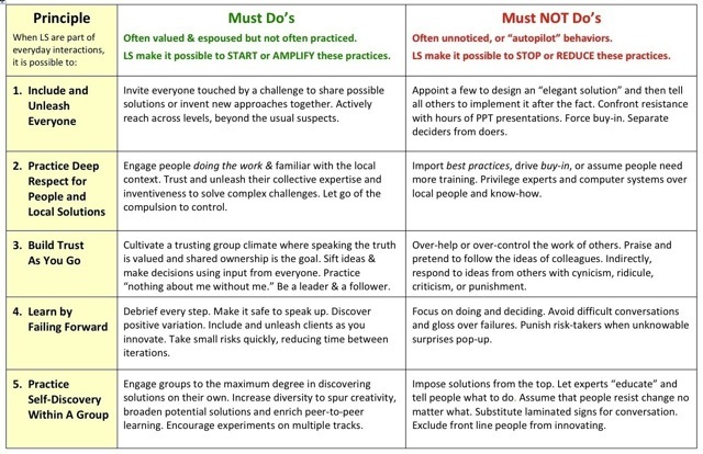Liberating Structures Principles - Premium Mountain Texture Gallery - 8K